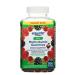 Equate Adult Multivitamin Gummies for General Health Natural Fruit Flavor 300 Count