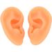 Soft Silicone Ear Acupuncture Training Model for Doctors - Hearing Aid Demonstration - Buy Online on GoSupps.com