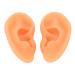Acupuncture Ear Model Waterproof Flexible Soft Silicone Clear Structure Flexible Ear Mold 2 Pieces for Doctor