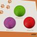 Shop WEPO Dog Frisbee Set - 3 Durable Rubber Toys for Small Dogs - Ideal for Land & Water - 15cm - Red/Purple/Green - Buy Online on GoSupps.com