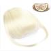 Bangs Hair Clip Synthetic Clip in Hair Bangs Extension French Bang Hairpiece Clip in Thick Natural Full Front Neat Bangs with Temple for Women Girls Bangs Clip in Hair (Color : 0014 Size : 15cm) 15cm 0014