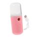 Beavorty Nano Mist Sprayer Portable Spa Face Steamer Mini Face Steamer Humidifier Mini Humidifier
