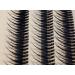 Scala 8-16mm C Curl Fish Tail Design 120pcs Individual False Eyelash Cluster Extension Tools - 14mm - Buy Online on GoSupps.com