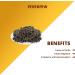 JEVR Feverfew Herb 100 g | for joint support - Buy Online on GoSupps.com