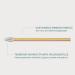 Voice of Nature Sustainable Teardrop Lip Wands - Eco-Friendly 100% FSC-Certified Bamboo Makeup Applicators - 100 Pack for Precise Application - Buy Online on GoSupps.com