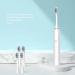Two Pack Rechargeable Electric Toothbrushes for Adults & Teens - 8 Brush Heads Included | International Shipping - Buy Online on GoSupps.com