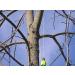 THORIUM Outdoor Slingshot Launcher Arborist Throw Weight Bag - Bright Green 16oz / 450g - Buy Online on GoSupps.com