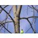THORIUM Slingshot Launcher Arborist Throw Weight Bag Pouch Set Kit - Bright Green 12oz + Bonus 150' Throw Line Rope - Buy Online on GoSupps.com