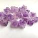 Room Decoration Natural Amethyst Cluster Raw Quartz Small Cluster Reiki Stone Crystal Point Specimen Home Decor Raw Crystals Minerals Stones (Color : 2-3cm Size : 100g) 100g 2-3cm