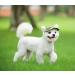 Shop Itoda Baseball Caps for Small Dogs - Adjustable Sun Protection Hats with Ear Holes | Puppy & Cat Outdoor Sports Caps - Buy Online on GoSupps.com