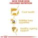 Royal Canin Yorkshire Terrier Adult | Pack of 3 | 3 x 500 g | Dry food for Yorkshire Terrier Adult | From 10 Months | to Help Age Healthy - Buy Online on GoSupps.com