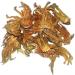 Hibiscus White dried Flower and Petals 125 g sorrel Bissap organic natural no preservatives. Premium grownand sun dried in Senegal - Buy Online on GoSupps.com