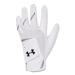 Under Armour Iso-chill Golf Glove Jr. White (100)/Steel Left Hand Youth Large
