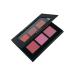 Prolux Cosmetics 6-shade Blush Palette - 1 Shimmer & 5 Matte Shades - Buy Online on GoSupps.com