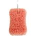 DANPATY Bath Shower Sponge - Green Exfoliating Body Sponge (1 Pack) - Buy Online on GoSupps.com