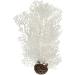 Biorb 46068 White Horn Coral - Small Plastic Aquarium Decoration | Easy to Clean | Natural & Artificial Coral for Freshwater & Saltwater Aquariums - Buy Online on GoSupps.com