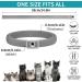 YOTANGO Dog & Cat Collar Repellent 4-Pack-Built-in Pant-Based Formula Strong Repellency Slow Release Pleasant Aroma Waterproof - Grey Blue Purple Green - Buy Online on GoSupps.com
