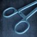 Blue Plastic Reptile Feeding Clip 24.5cm - Terrarium Tongs for Snake Lizard & Pet Raising - Buy Online on GoSupps.com