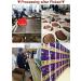Chinese Walnut Kernels Fresh Peeled Linan Mountain Walnuts Kernels Walnut Meat Net 160g (Original) - Buy Online on GoSupps.com