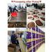 Buy Chinese Peeled Walnuts - Fresh Lin'an Walnut Kernels 170g | Creamy 1 Pack - Premium Quality - Buy Online on GoSupps.com