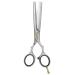 JAGUAR modelling scissors PRE STYLE ERGO 28 5.5" | Texturising scissors with 28 thinning teeth in classic design | matt | Made in Germany