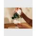 The Body Shop Vitamin E Toner - 8.4 Fl Oz (Vegan, All Skin Types) - Buy Online on GoSupps.com