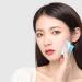 8 Pack Oil Blotting Sheets (400 Sheets Total) Natural Oil Absorbing Tissues Top Portable Oil Absorbing Tissues for Skin Care or Make Up - Buy Online on GoSupps.com