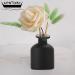 Buy 150ml Black Empty Glass Diffuser Bottle - Aromatherapy Storage Container for Essential Oils & DIY Crafts - Buy Online on GoSupps.com
