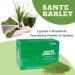 Buy Sante Barley New Zealand Organic Barley Grass Powder Juice with Stevia - 30 Sachets (90g) for International Shipping | Pure & Natural Health Supplement - Buy Online on GoSupps.com