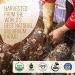 La Republica Big Shot Organic Mushroom Coffee - 120 Servings | 7 Superfood Mushrooms | Lion's Mane, Reishi, Chaga, Cordyceps, and More | Caffeinated Instant Mushroom Powder - 8.48 Ounce Pack - Buy Online on GoSupps.com