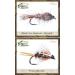 Guide's TOP Assortment - Nymphs (31 Flies) | Best Selling Flies for Fishing - Buy Online on GoSupps.com