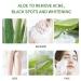 Buy Aloe Vera Soap for Hydration & Clean Skin | Self-Care Jab n de S vila - 1 Count - Buy Online on GoSupps.com