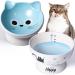 AISBUGUR Ceramic Cat Bowls Raised Cat Food Bowl 15 Tilted Protect Cat's Spine, Stress Free, Prevent Vomiting, Cat Dishes for Food and Water Set of 2 Blue (Male Cat)