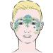 Eulenspiegel 109335 Face Painting Stencil - Flowerballs | Perfect for Events & Parties - International Shipping Available - Buy Online on GoSupps.com