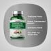 Piping Rock Echinacea Goldenseal Capsules 1400mg - 180 ct | Herbal Supplement Concentrated Extract | Vegetarian, Non-GMO, Gluten-Free - Buy Online on GoSupps.com