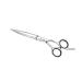 Jaguar Gold Line Heron Hairdressing Scissors 6-Inch Length 0.1 kg