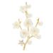 Pin Jewelry Gifts for Women Ladies Fashion Accessories Ladies Elegant Natural Shell Flower Brooch Brooch Plum Shape Party Banquet Brooch Brooches & Pins