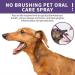 (100% 5 star) Pet Clean Teeth Cleaning Spray Pet Teeth Cleaning Spray Teeth Cleaning Spray for Dogs Pet Oral Spray Clean Teeth Pet Breath Freshener Oral Spray Pet Oral Spray Pet Oral Spray Clean Spray Petry Teeth Cleaning Spray Petry Oral Spray for Dogs & - Buy Online on GoSupps.com