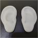 Fhuili Soft Silicone Ear Model for Acupuncture & Ear Picking Practice Realistic Simulation Human Ear for Display & Earring Headset Props (1 Pair) - Buy Online on GoSupps.com