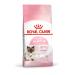 Royal Canin/Babycat 4 kg bag of kibble for kittens from 1 to 4 months