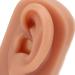 Dark Skin Tone Silicone Human Ear Model for Medical Training - Left & Right | Educational Practice Model - Buy Online on GoSupps.com