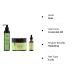 Mielle Rosemary Mint Styling Trio: Cream, Gel, and Oil Combo - Buy Online on GoSupps.com