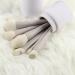 VENEKA 10 Eyeshadow Brush Portable Dumb Gray Makeup Artist Professional Makeup Brush Set - Buy Online on GoSupps.com