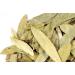senna herbal leaves tea 1lb - Buy Online on GoSupps.com