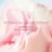 Ideal Camellia Facial Oil - Hydrating Anti-Aging Korean Skincare | Grapeseed Camellia Oil & Vitamin E | 1.01 oz - Shop Internationally - Buy Online on GoSupps.com