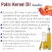Buy 100% Pure Plum Kernel Oil (500 ML) - Natural Carrier Oil for Skin & Hair | Aromatherapy & Therapeutic Grade - Buy Online on GoSupps.com