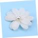 Didiseaon Hair Barrette Pearl Hair Clip Kids Hair Clips Kids Barrettes for Hair Hairpins Bobby Pin Kids Hairpin Floral Hair Clip Hair Pin Child Hair Accessories - Buy Online on GoSupps.com