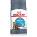 ROYAL CANIN Urinary Care Cat Food 2 kg Variety 2 kg (Pack of 1)