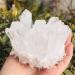 Home Decoration Natural Clear White Quartz Point Crystal Cluster Stones Home Goods ZJGIDTEM (Size : 400-500g) - Buy Online on GoSupps.com