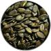 Herbal tea Squash seed 1 KILO WHOLE PEELED. - Buy Online on GoSupps.com